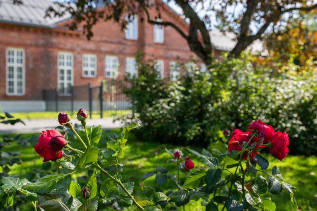 Tampereen Tilapalvelut perusparansi Hatanpään kartanopuiston historiallisen Jukola-rakennuksen 140 lapsen päiväkodiksi.